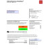 Wells Fargo Bank Statement Template PDF for November 2024–February 2025 